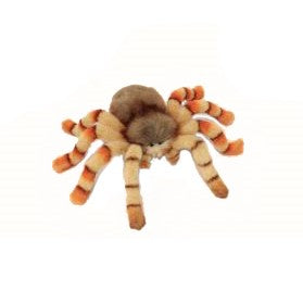 Jumping Spider Stuffed Animal